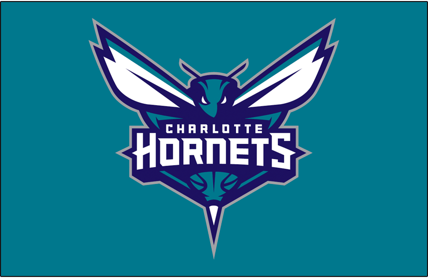 Charlotte Hornets 2014-Pres Primary Dark Logo iron on transfers for clothing